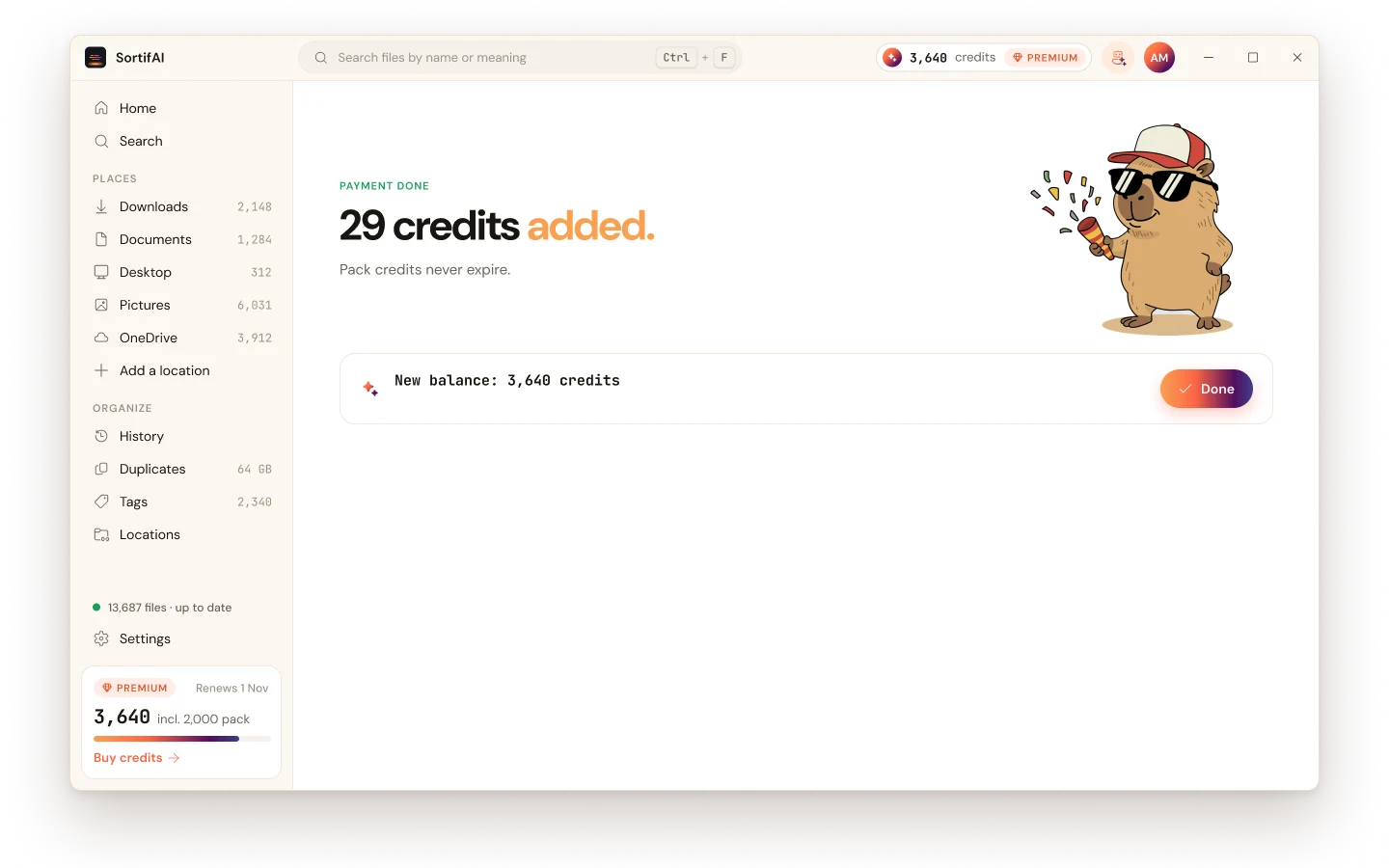 SortifAI for Windows: credits added to the account